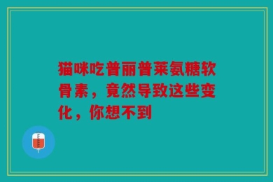 猫咪吃普丽普莱氨糖软骨素，竟然导致这些变化，你想不到