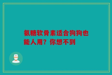 氨糖软骨素适合狗狗也能人用？你想不到