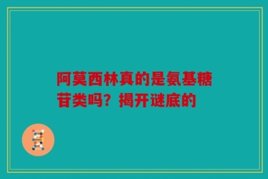 阿莫西林真的是氨基糖苷类吗？揭开谜底的
