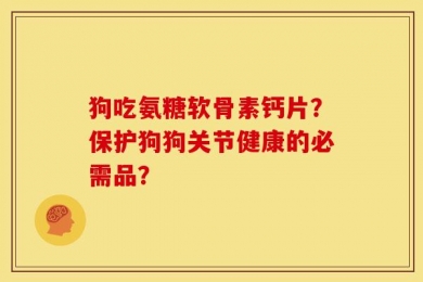 狗吃氨糖软骨素钙片？保护狗狗关节健康的必需品？