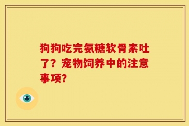 狗狗吃完氨糖软骨素吐了？宠物饲养中的注意事项？