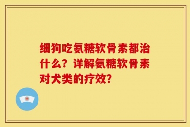 细狗吃氨糖软骨素都治什么？详解氨糖软骨素对犬类的疗效？