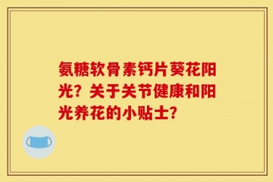 氨糖软骨素钙片葵花阳光？关于关节健康和阳光养花的小贴士？