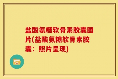 盐酸氨糖软骨素胶囊图片(盐酸氨糖软骨素胶囊：照片呈现)