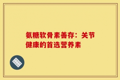 氨糖软骨素善存：关节健康的首选营养素