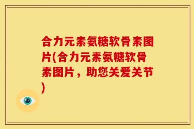 合力元素氨糖软骨素图片(合力元素氨糖软骨素图片，助您关爱关节)