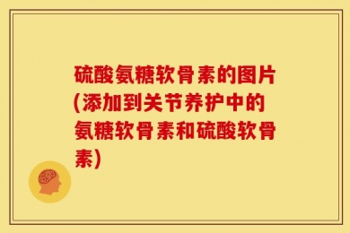 硫酸氨糖软骨素的图片(添加到关节养护中的氨糖软骨素和硫酸软骨素)