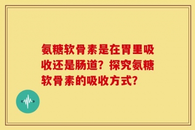 氨糖软骨素是在胃里吸收还是肠道？探究氨糖软骨素的吸收方式？