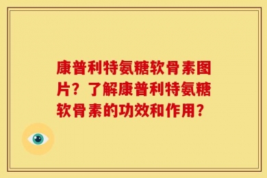 康普利特氨糖软骨素图片？了解康普利特氨糖软骨素的功效和作用？