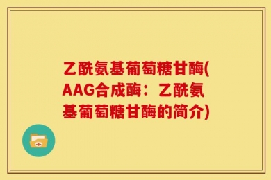 乙酰氨基葡萄糖甘酶(AAG合成酶：乙酰氨基葡萄糖甘酶的简介)