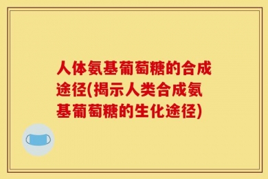 人体氨基葡萄糖的合成途径(揭示人类合成氨基葡萄糖的生化途径)