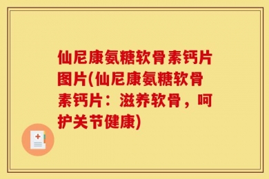 仙尼康氨糖软骨素钙片图片(仙尼康氨糖软骨素钙片：滋养软骨，呵护关节健康)