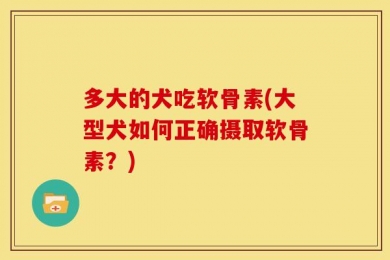 多大的犬吃软骨素(大型犬如何正确摄取软骨素？)