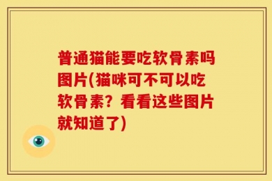 普通猫能要吃软骨素吗图片(猫咪可不可以吃软骨素？看看这些图片就知道了)