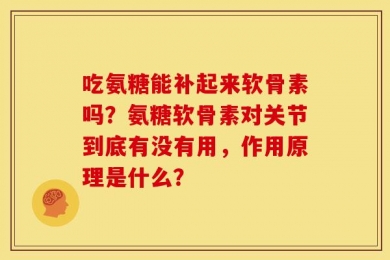 吃氨糖能补起来软骨素吗？氨糖软骨素对关节到底有没有用，作用原理是什么？