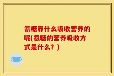 氨糖靠什么吸收营养的呢(氨糖的营养吸收方式是什么？)