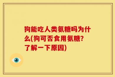 狗能吃人类氨糖吗为什么(狗可否食用氨糖？了解一下原因)