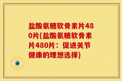 盐酸氨糖软骨素片480片(盐酸氨糖软骨素片480片：促进关节健康的理想选择)