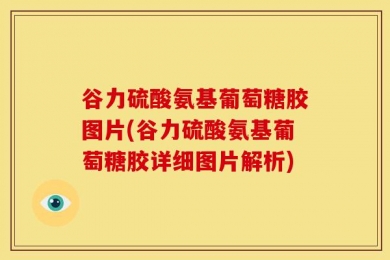 谷力硫酸氨基葡萄糖胶图片(谷力硫酸氨基葡萄糖胶详细图片解析)