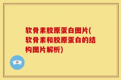 软骨素胶原蛋白图片(软骨素和胶原蛋白的结构图片解析)