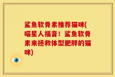 鲨鱼软骨素推荐猫咪(喵星人福音！鲨鱼软骨素来拯救体型肥胖的猫咪)