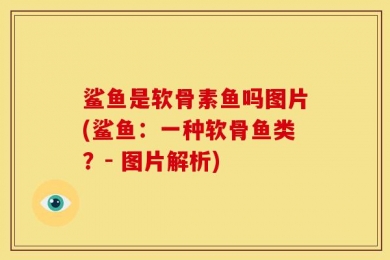 鲨鱼是软骨素鱼吗图片(鲨鱼：一种软骨鱼类？- 图片解析)