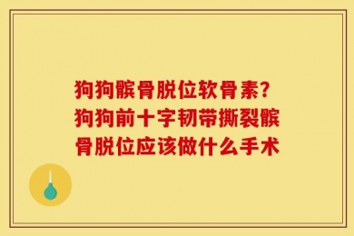 狗狗髌骨脱位软骨素？狗狗前十字韧带撕裂髌骨脱位应该做什么手术