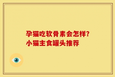 孕猫吃软骨素会怎样？小猫主食罐头推荐