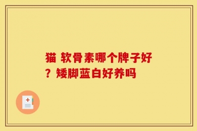 猫 软骨素哪个牌子好？矮脚蓝白好养吗
