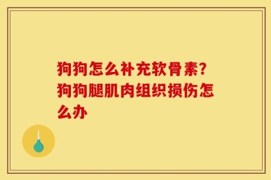 狗狗怎么补充软骨素？狗狗腿肌肉组织损伤怎么办