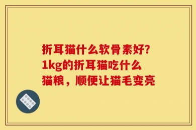 折耳猫什么软骨素好？1kg的折耳猫吃什么猫粮，顺便让猫毛变亮