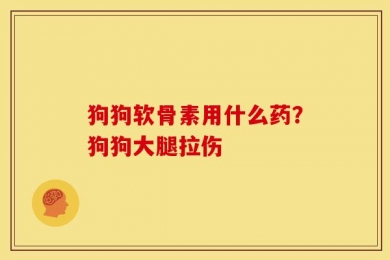 狗狗软骨素用什么药？狗狗大腿拉伤