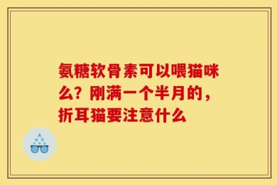 氨糖软骨素可以喂猫咪么？刚满一个半月的，折耳猫要注意什么