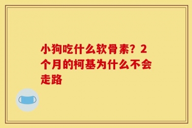小狗吃什么软骨素？2个月的柯基为什么不会走路