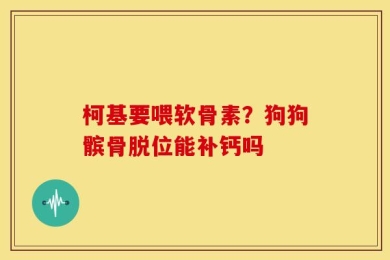 柯基要喂软骨素？狗狗髌骨脱位能补钙吗