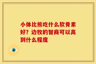 小体比熊吃什么软骨素好？边牧的智商可以高到什么程度