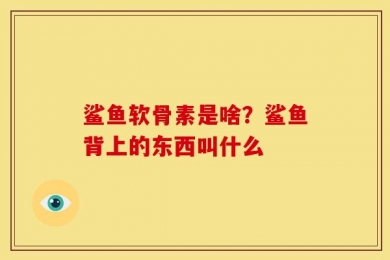 鲨鱼软骨素是啥？鲨鱼背上的东西叫什么