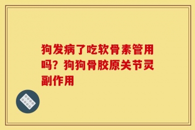 狗发病了吃软骨素管用吗？狗狗骨胶原关节灵副作用