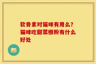 软骨素对猫咪有用么？猫咪吃甜菜根粉有什么好处