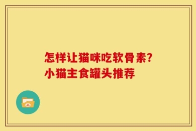 怎样让猫咪吃软骨素？小猫主食罐头推荐