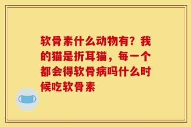 软骨素什么动物有？我的猫是折耳猫，每一个都会得软骨病吗什么时候吃软骨素