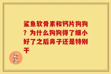 鲨鱼软骨素和钙片狗狗？为什么狗狗得了细小好了之后鼻子还是特别干