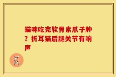 猫咪吃完软骨素爪子肿？折耳猫后腿关节有响声