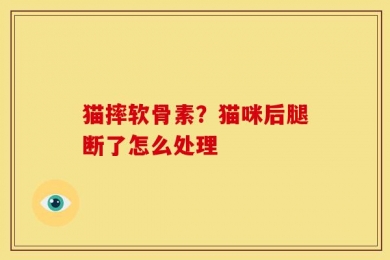 猫摔软骨素？猫咪后腿断了怎么处理