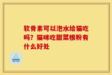 软骨素可以泡水给猫吃吗？猫咪吃甜菜根粉有什么好处