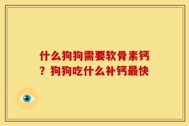 什么狗狗需要软骨素钙？狗狗吃什么补钙最快
