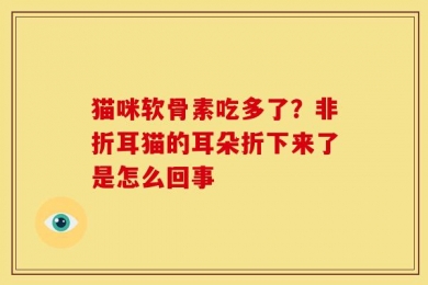 猫咪软骨素吃多了？非折耳猫的耳朵折下来了是怎么回事