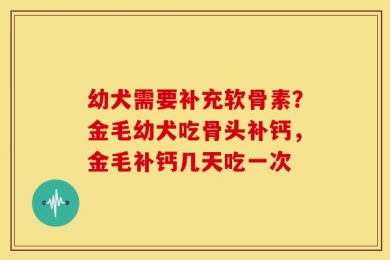 幼犬需要补充软骨素？金毛幼犬吃骨头补钙，金毛补钙几天吃一次