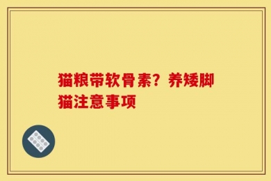猫粮带软骨素？养矮脚猫注意事项