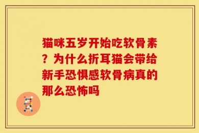猫咪五岁开始吃软骨素？为什么折耳猫会带给新手恐惧感软骨病真的那么恐怖吗